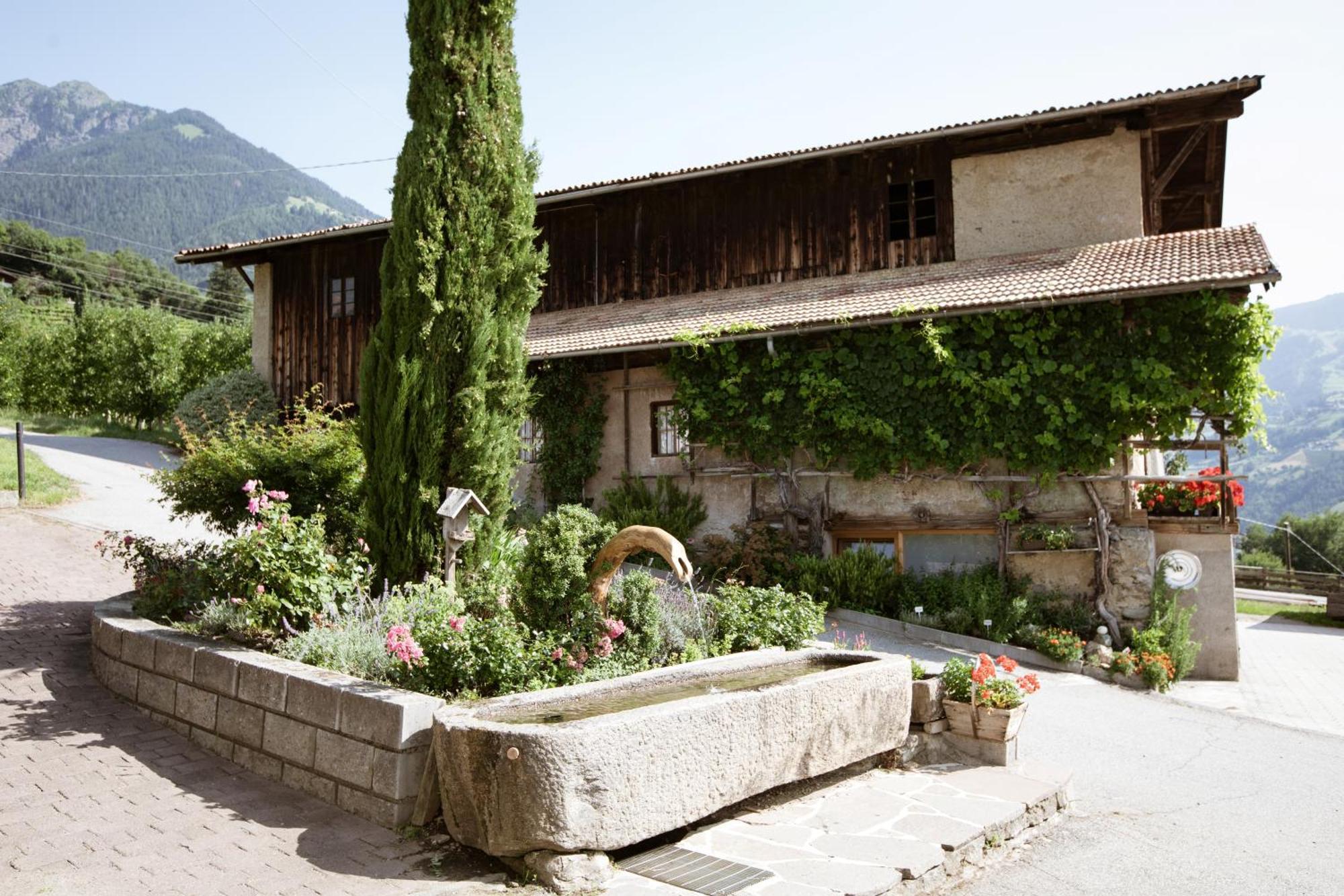 Noessinghof Bed & Breakfast Tirolo Exterior photo